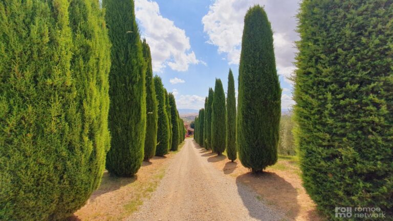 Ein Kiesweg zwischen hohen Zypressen führt unter teils bewölktem Himmel durch eine symmetrische toskanische Landschaft.